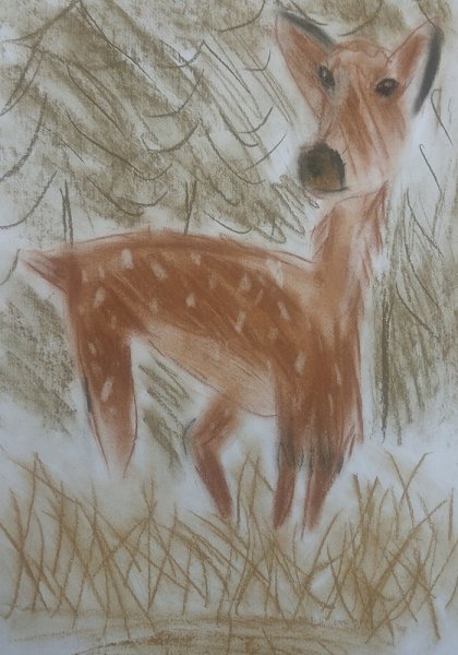 Сангина для рисования