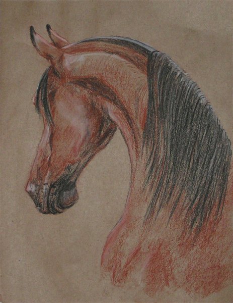 Пастель сангина