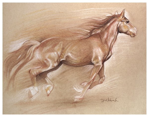 Картины сангиной и углем