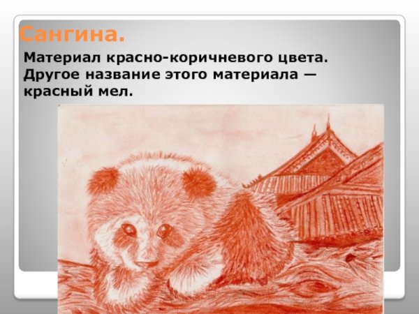 Белка сангиной