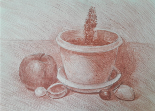 Натюрморт сангиной