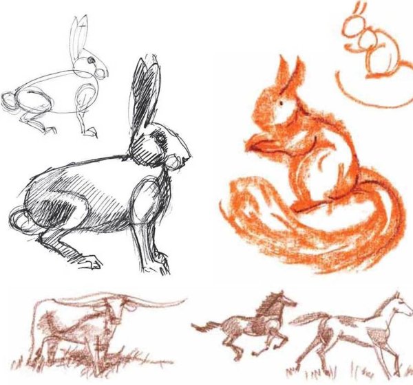 Анималистический Жанр рисунки животных