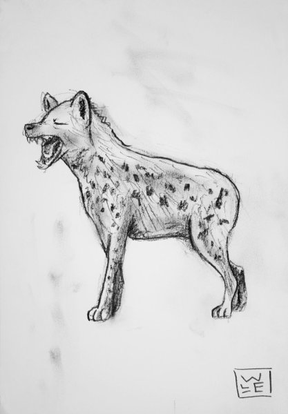 Гиена карандашом