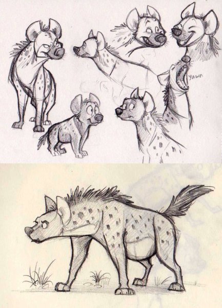 Наброски гиены