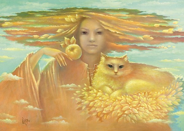 Владимир куш корабль