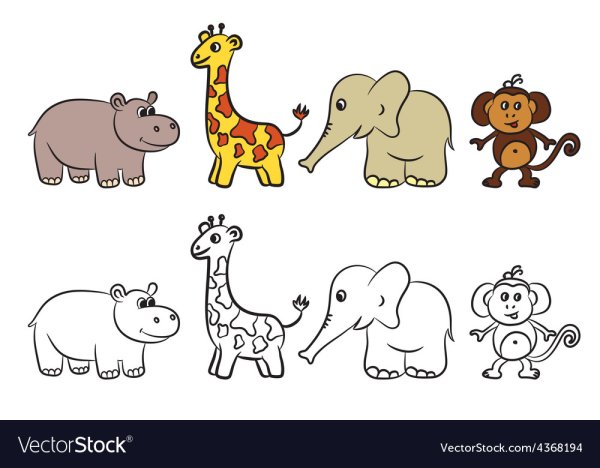 Животные из зоопарка рисунки