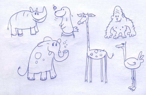 Рисование животных в зоопарке