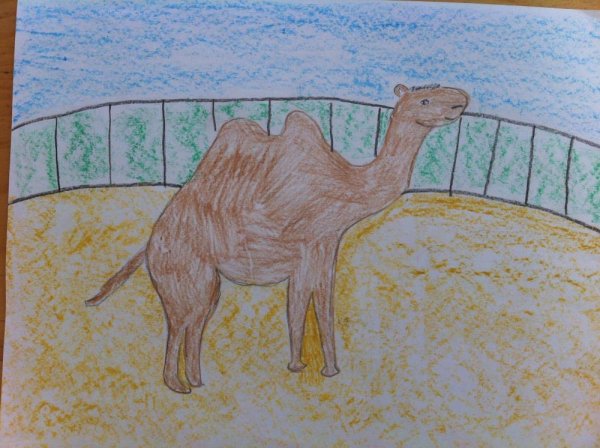 Нарисовать зоопарк