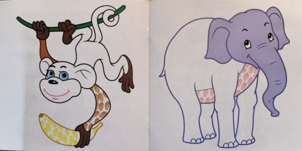 Нарисовать животное в зоопарке