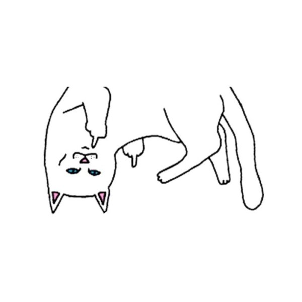 Кот с факом Мем