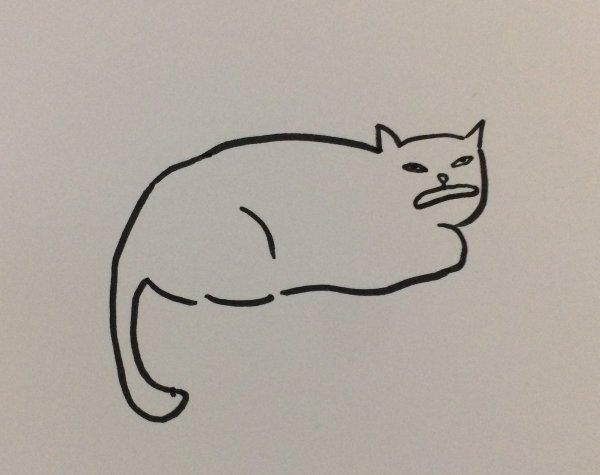 Картинки для срисовки кошки лёгкие