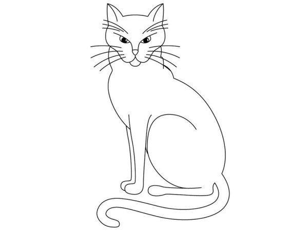 Контурное изображение кошки
