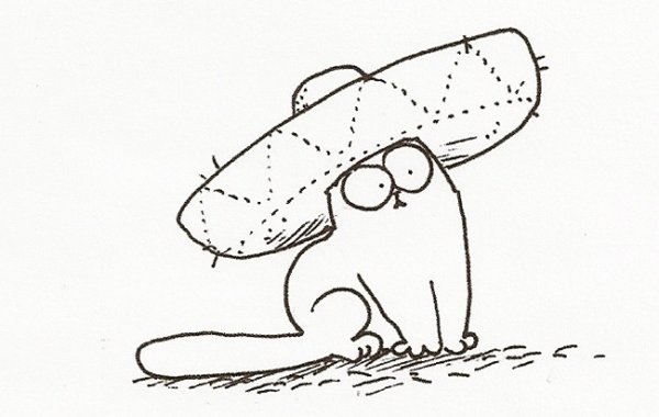 Рисунки карандашом котов смешные