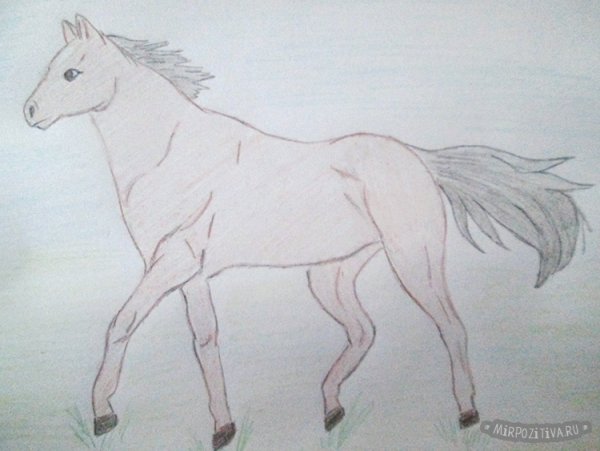Рисунок очень легкий коня
