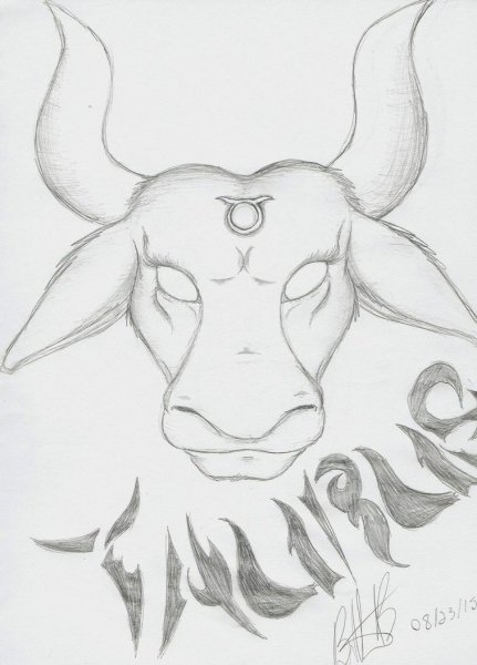 Знак зодиака Телец рисунок