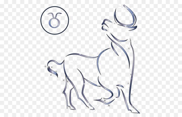 Знак зодиака Телец рисунок