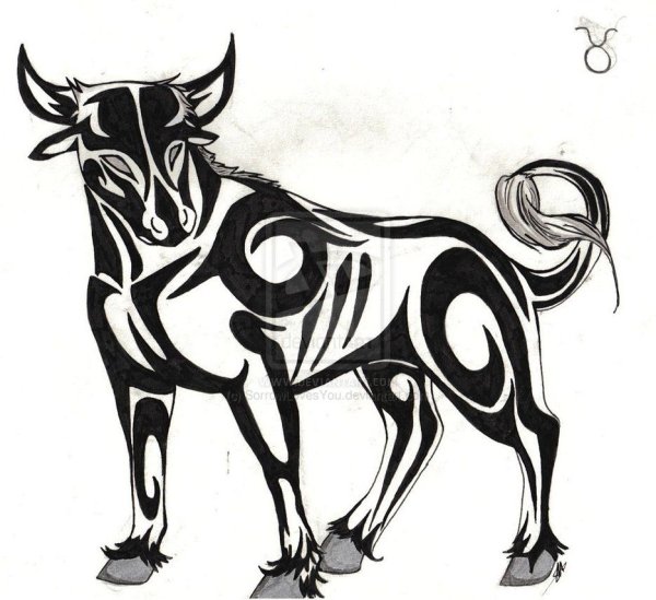 Татуировка Созвездие быка