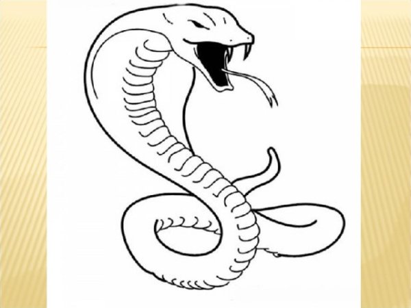 Кобра раскраска