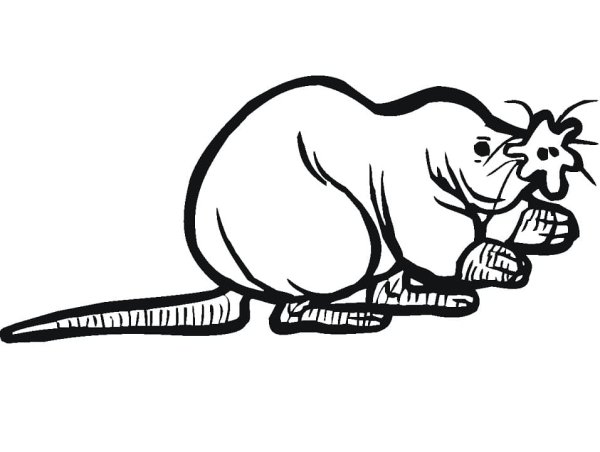 Крот Графика