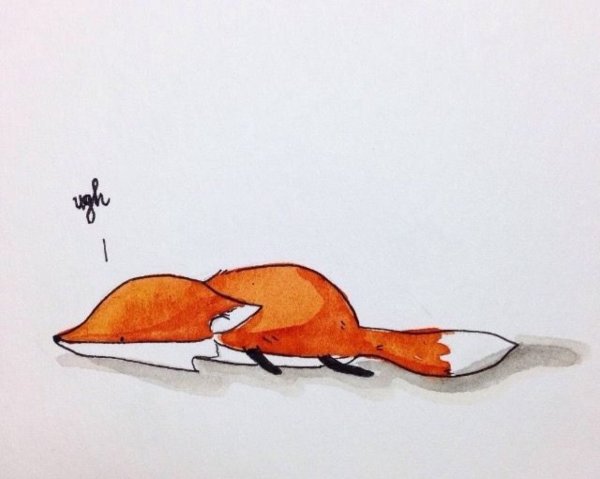 Лиса карандашом для срисовки