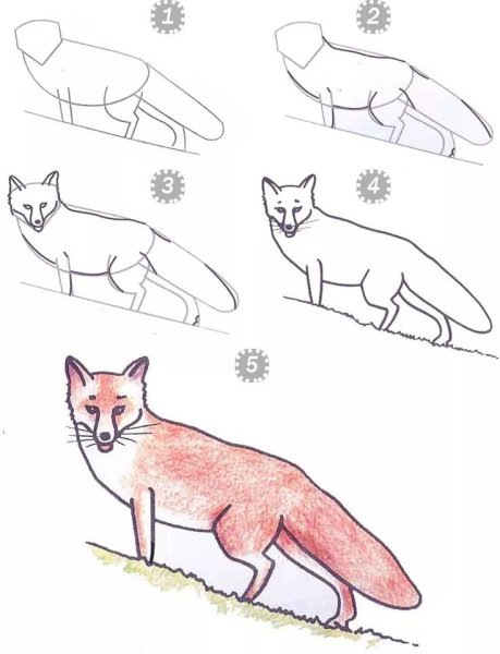 Лисенок скетч