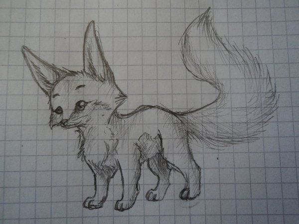 Животные карандашом