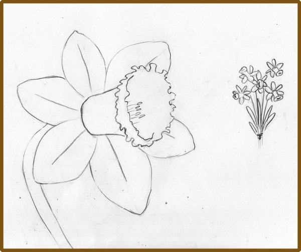 Поэтапное рисование цветы