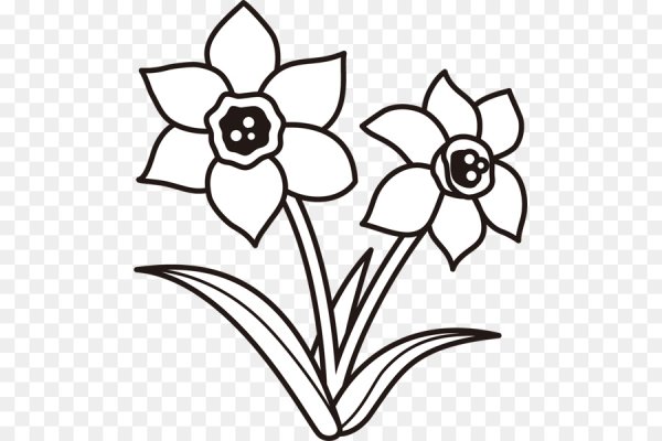 Рисунки цветов для срисовки