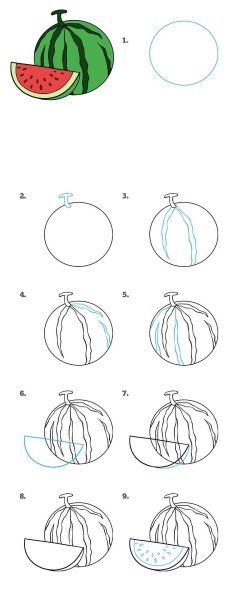 Поэтапное рисование арбуза