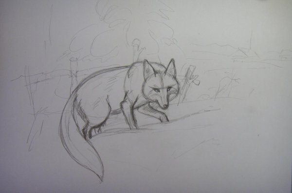 Лиса для срисовки