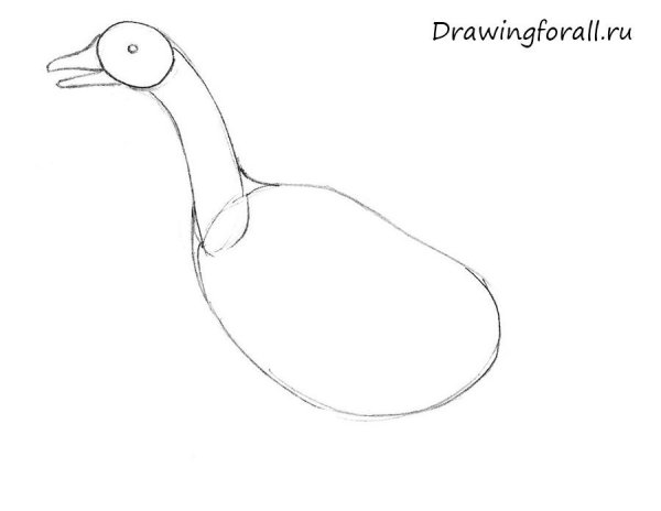 Гусь поэтапное рисование для детей