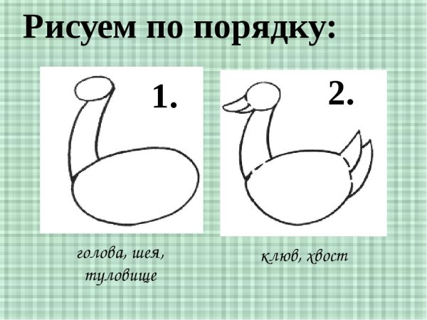 Гусь карандашом легко