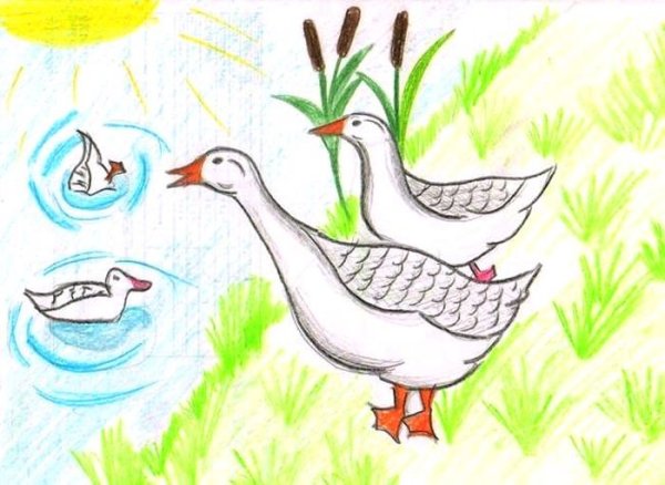 Лебедь Крылья раскраска для детей