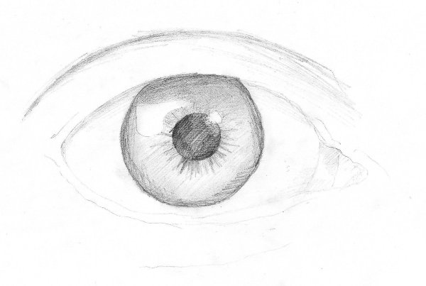 Рисунки карандашом для срисовки