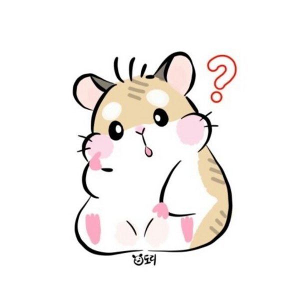 Раскраска хомячок