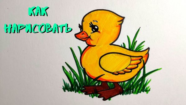 Милые мультяшные уточки