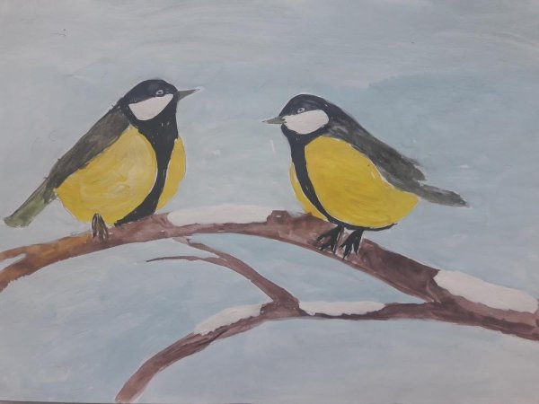 Синица для срисовки