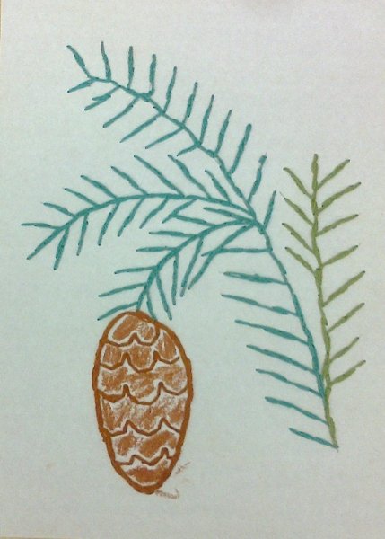 Рисование еловой ветки с шишкой