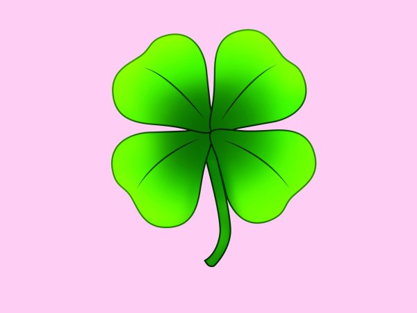 Четырёхлистный Клевер аниме