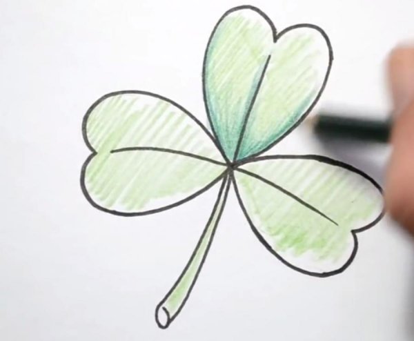 Лист клевера для срисовки