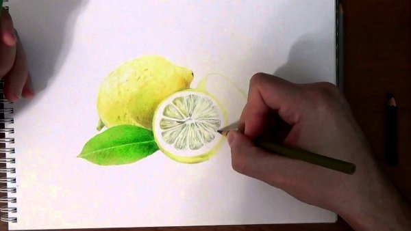 Нарисовать лимон карандашом
