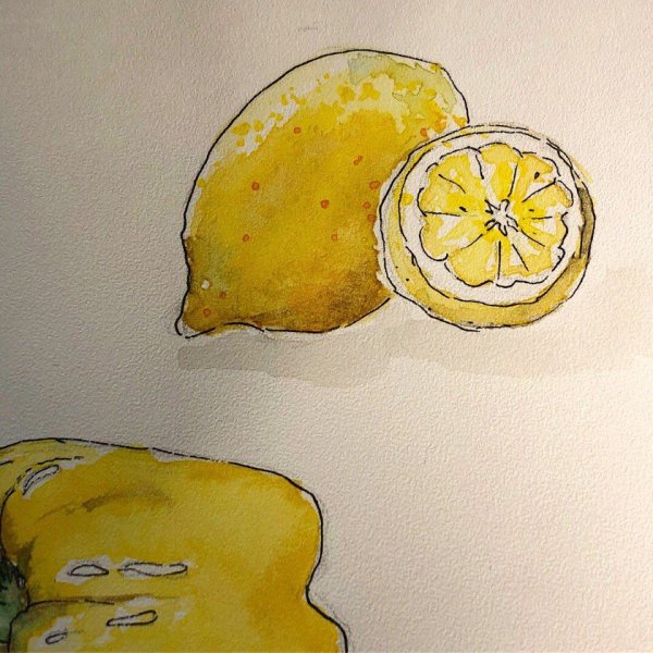 Лимон для срисовки