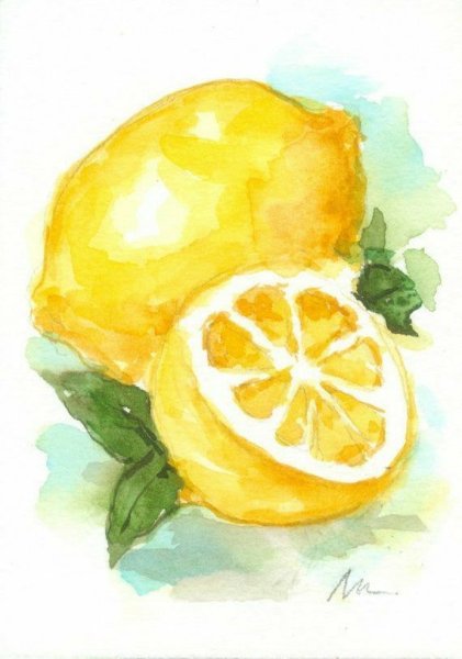 Фрукты для срисовки карандашом