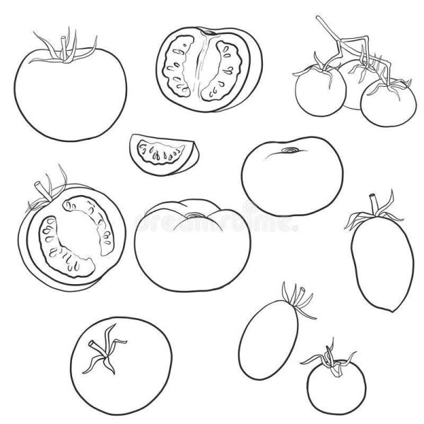 Помидор карандашом