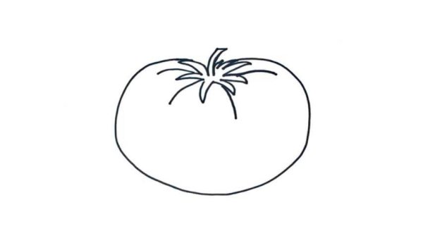 Помидор для срисовки