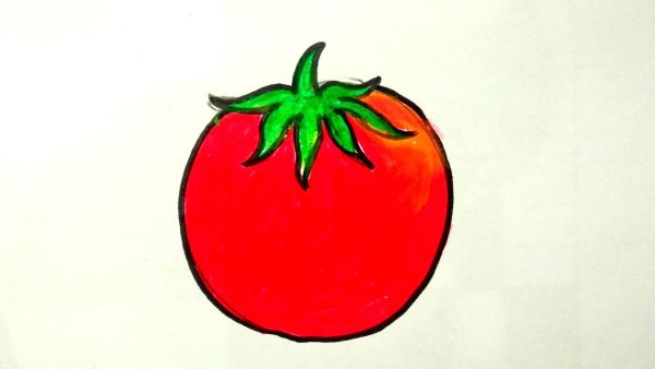 Рисунок помидор легко