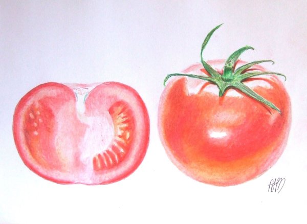 Помидор карандашом