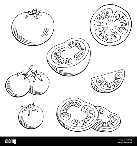 Помидор в разрезе контур