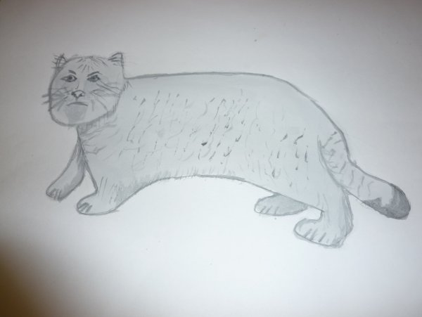 Котенок рисунок