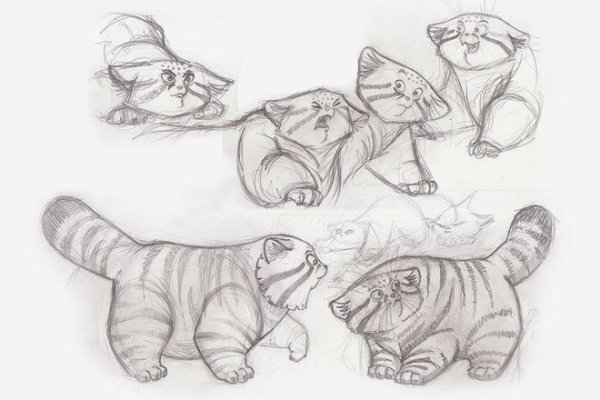 Кот Манул рисунок